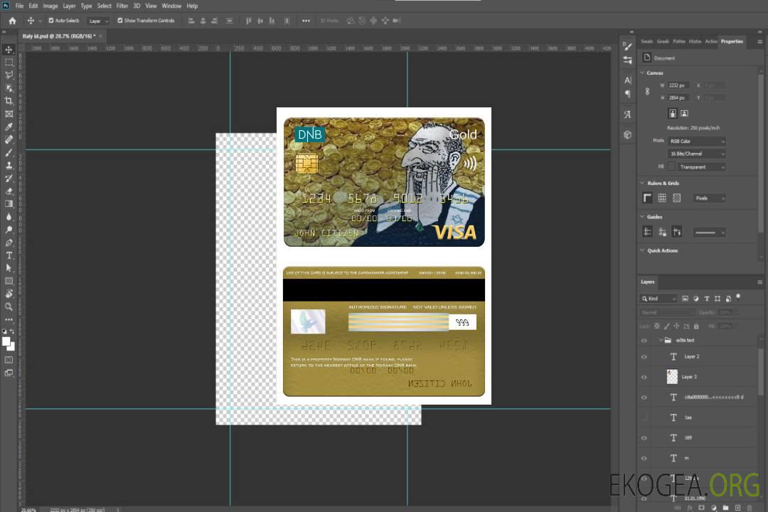 Carte d'or visa bancaire DNB norvégienne template